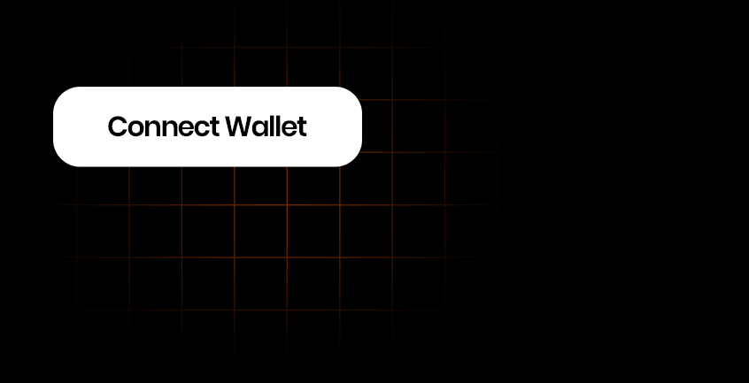 Connect Your Wallet